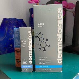 Dermalogica Bundle (2)